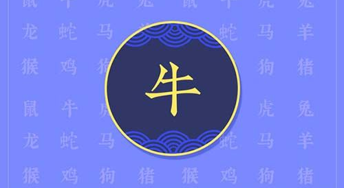 生肖牛2023年要注意什么 2023年属牛要注意什么佩戴什么转运