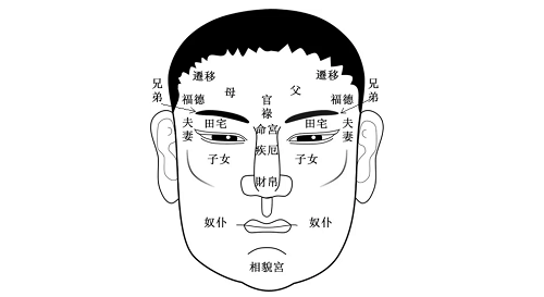 五官十二宫 面相五官十二宫