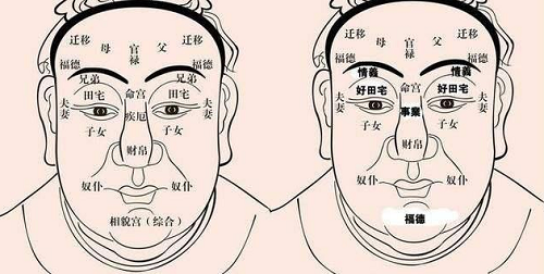 面相学图解算命大全 面相学口诀大全