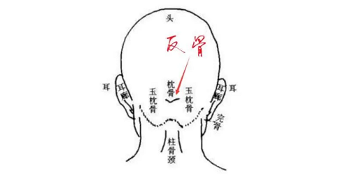 脑后有反骨是什么意思 说一个人反骨是什么意思