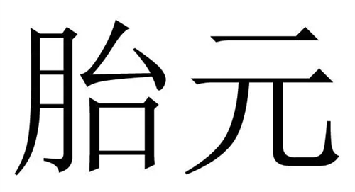 胎元是什么意思 八字胎元是什么意思