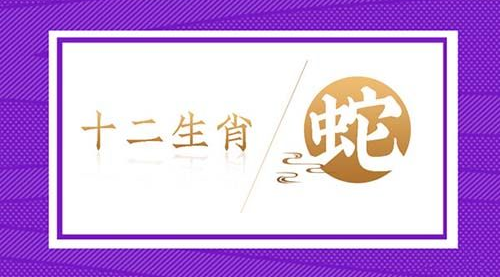 生肖蛇2023年上半年运势及运程 生肖蛇2023年上半年运势及运程如何