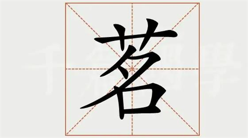 茗字五行属什么 茗字的取名寓意