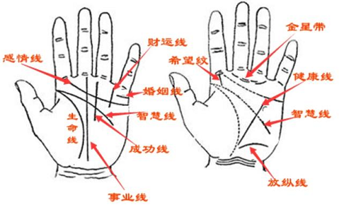 手相图解手相男怎么看 手相图解大全男